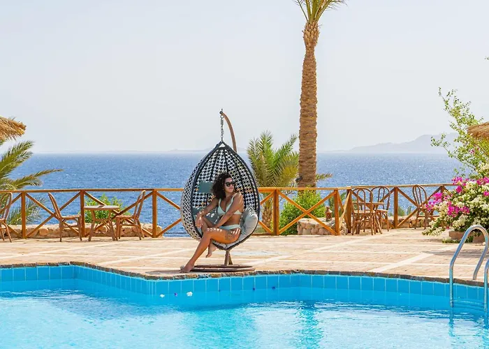 Resort Club Reef &