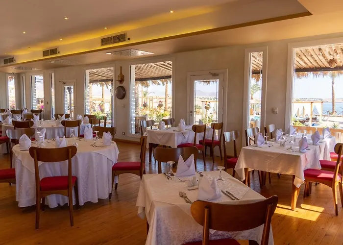Club Reef & Resort Şarm El-Şeyh