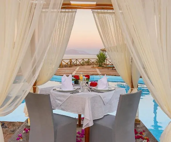 Resort Club Reef &