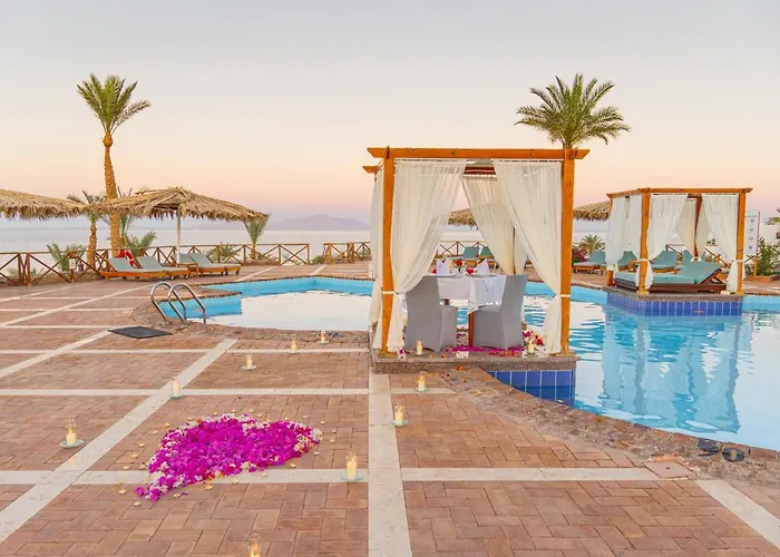 Club Reef & Resort 4*