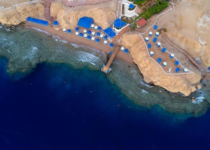 Club Reef &